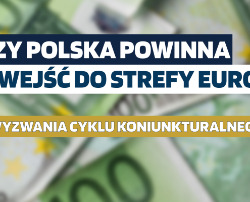 Czy Polska powinna wejść do strefy euro? Przyjęcie europejskiej waluty to duże wyzwanie, a to wywołuje zasadne pytania o koszty makroekonomiczne. Eksperci z Zakładu Ekonomii Liberalnej Szkoły Głównej Handlowej w Warszawie, Jakub Karnowski i Andrzej Rzońca sformułowali, na łamach czasopisma “Argumenta Oeconomica”, naukową odpowiedź na część obaw wobec przyjęcia euro.
