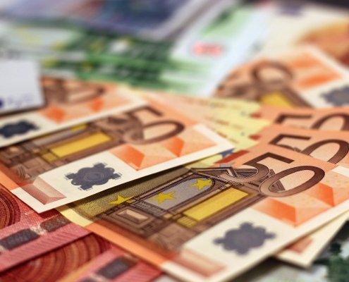 Większość polskich ugrupowań pro-europejskich milczy na temat przyjęcia unijnej waluty, oddając w ten sposób temat eurosceptykom. To jeden z głównych powodów malejącego poparcia dla zmiany waluty w Polsce. Polacy przychylniej patrzą na wprowadzenie euro, jako na długotrwały proces.