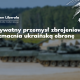 Ukraina obroni swoją niepodległość dzięki synergii państwowych instytucji i prywatnych innowatorów - ludzi, którzy w obliczu wojny zbudowali jedną z najnowocześniejszych i najbardziej elastycznych branż obronnych na świecie.